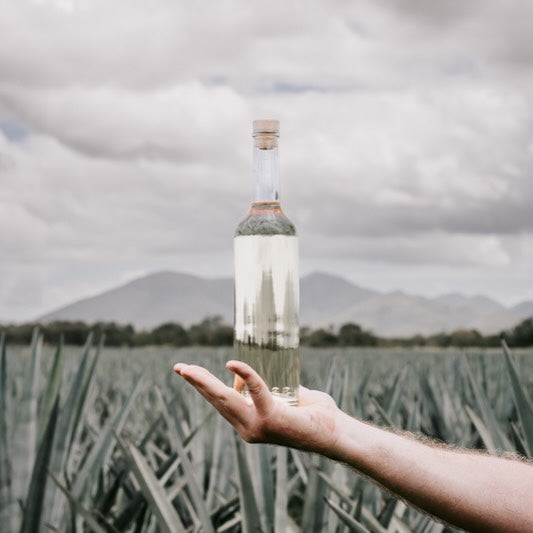 Tasting Paddle x 3 Blanco, Repo & Distillers Release
